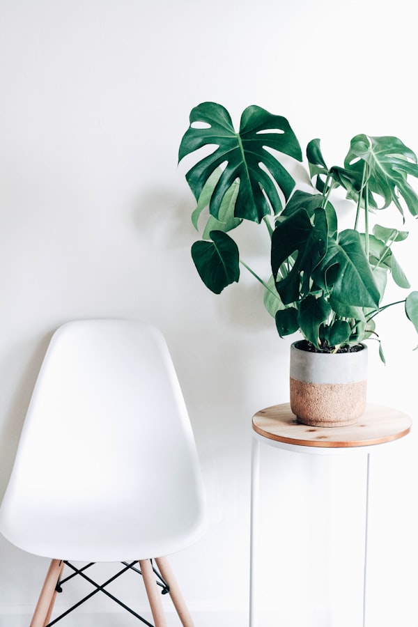 Artificial Indoor Plant in Pot