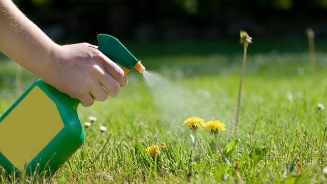 Weed Control Liquids and Insect Repellent Liquids